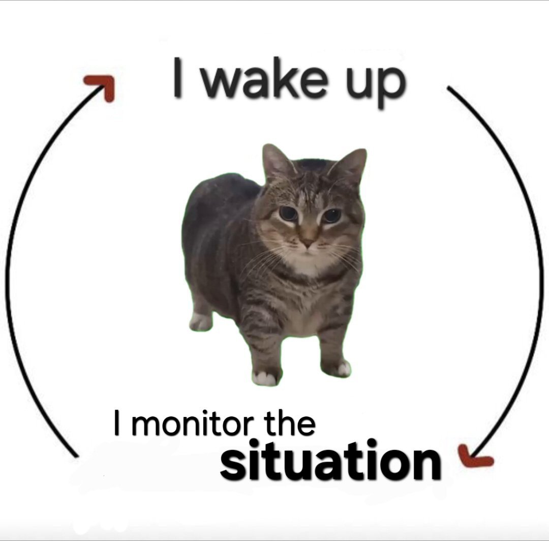 are you monitoring the situation?