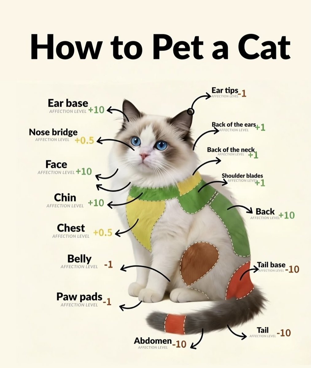How to Pet a Cat
