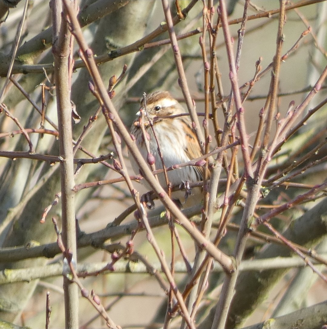 Graham Connolly tweet media