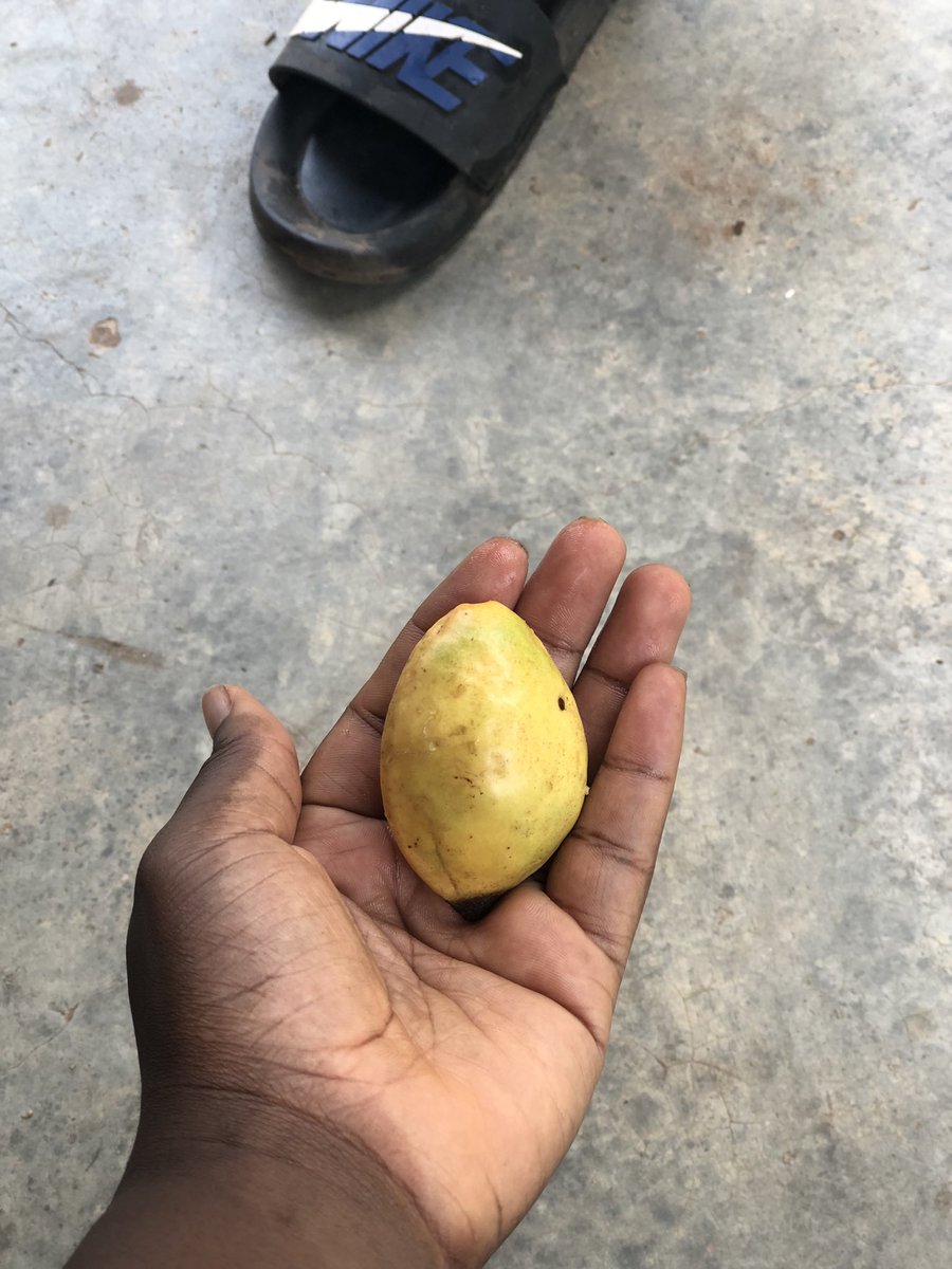 Who knows the actual name of this fruit?