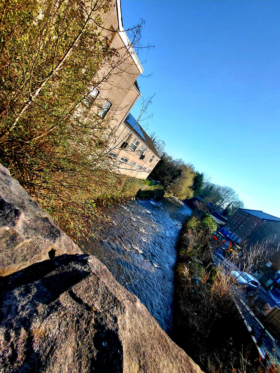 Faye Davies tweet media