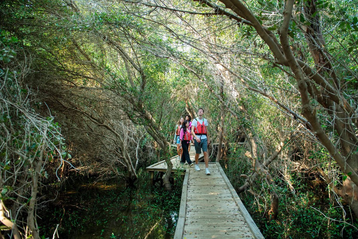 Visit Ajman tweet media