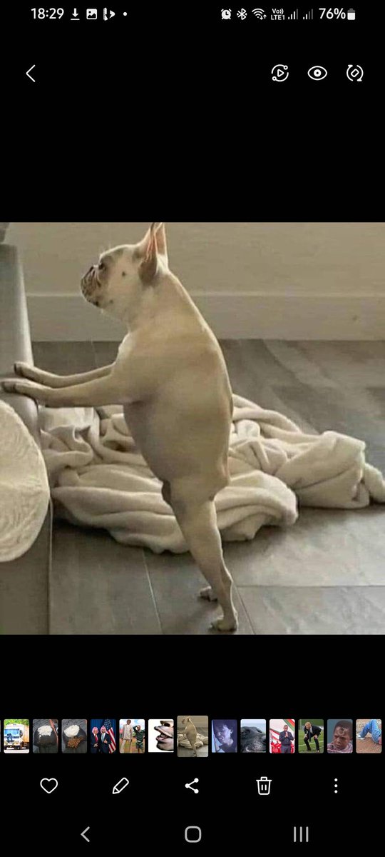 niko kadi🐋 tweet media