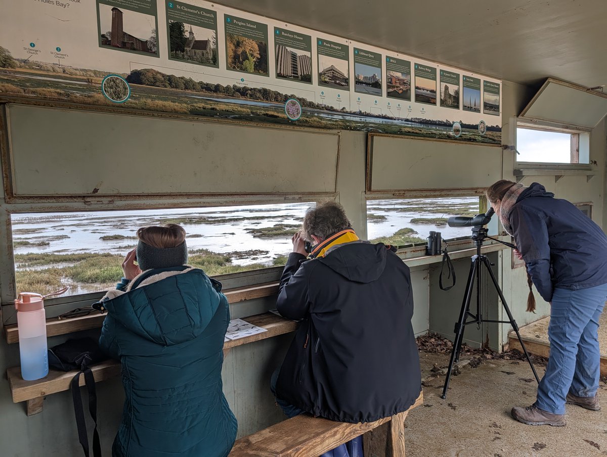 Bird and Recreation Initiative tweet media