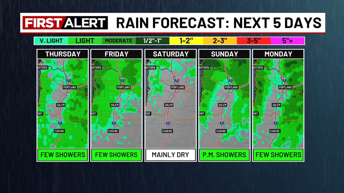 Katie Zúñiga tweet media