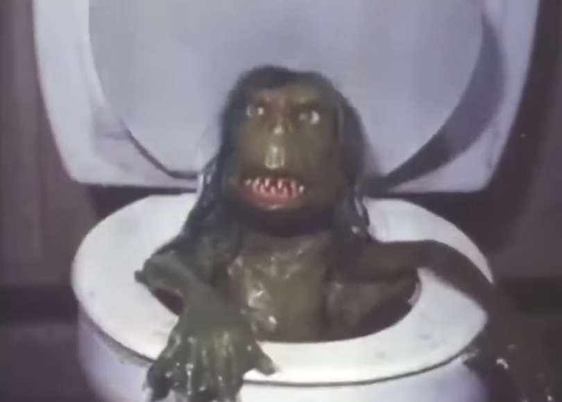 lucas from the bookshop tweet media