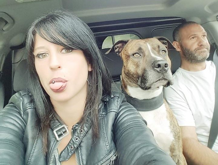 Infos Françaises tweet media