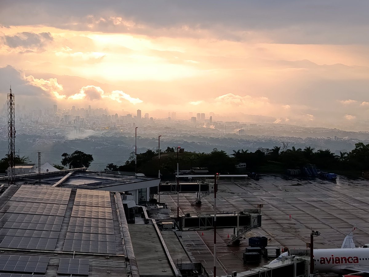 luis puentes tweet media