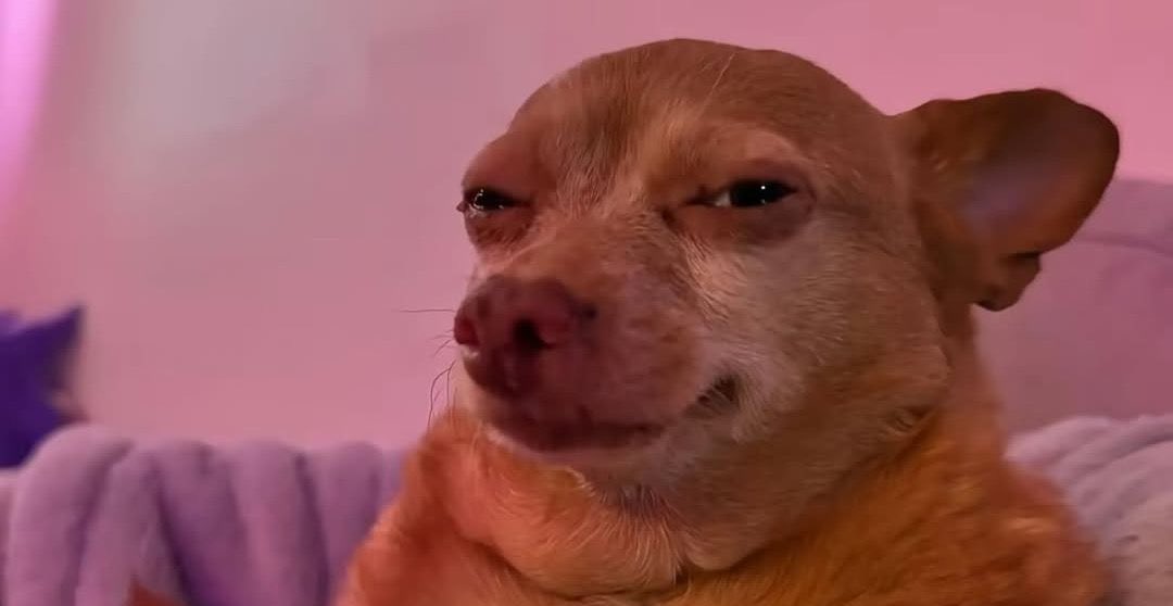 Predicted Platinum tweet media