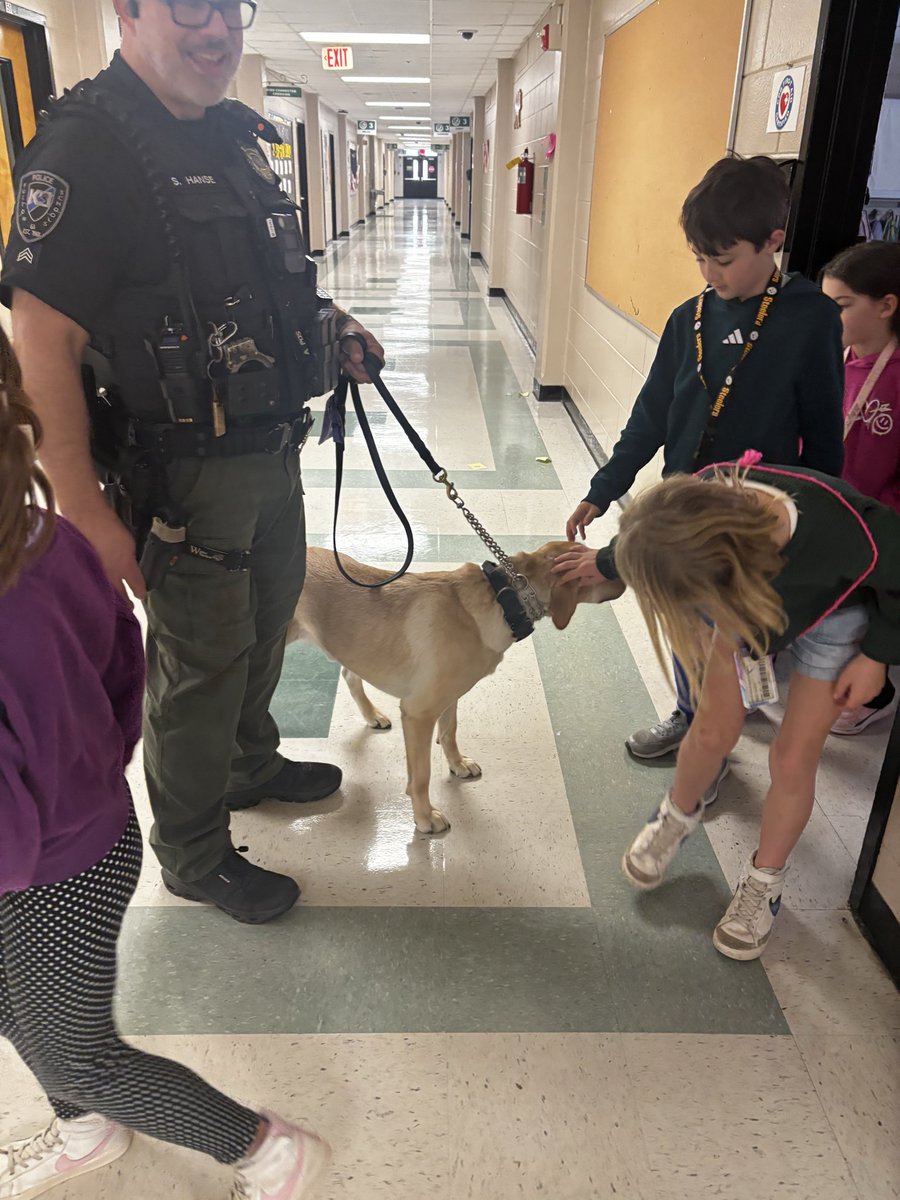 Alison Lieblich tweet media