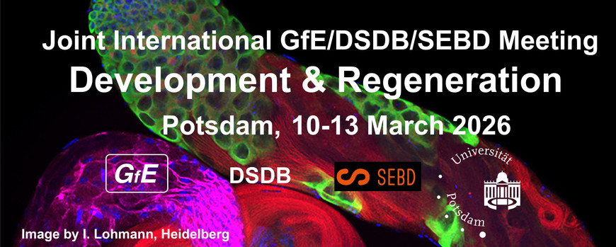 Development tweet media