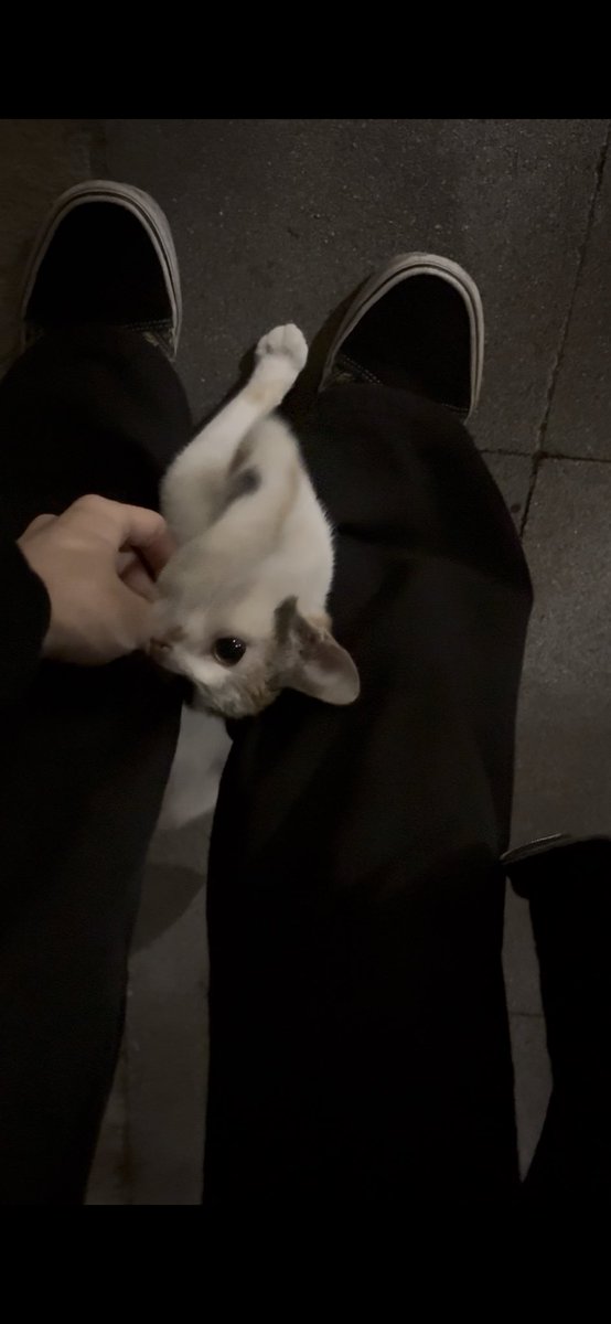 太阳瓜 tweet media