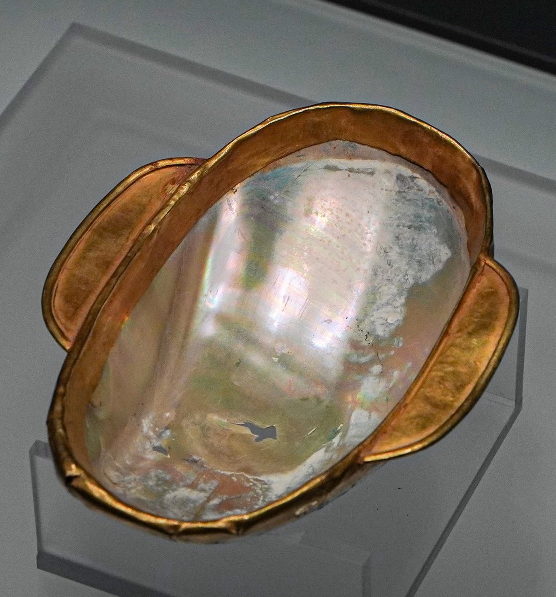 金扣蚌壳羽觴 1980年代に、青海省西寧市南灘磚瓦廠の魏晋墓から出土