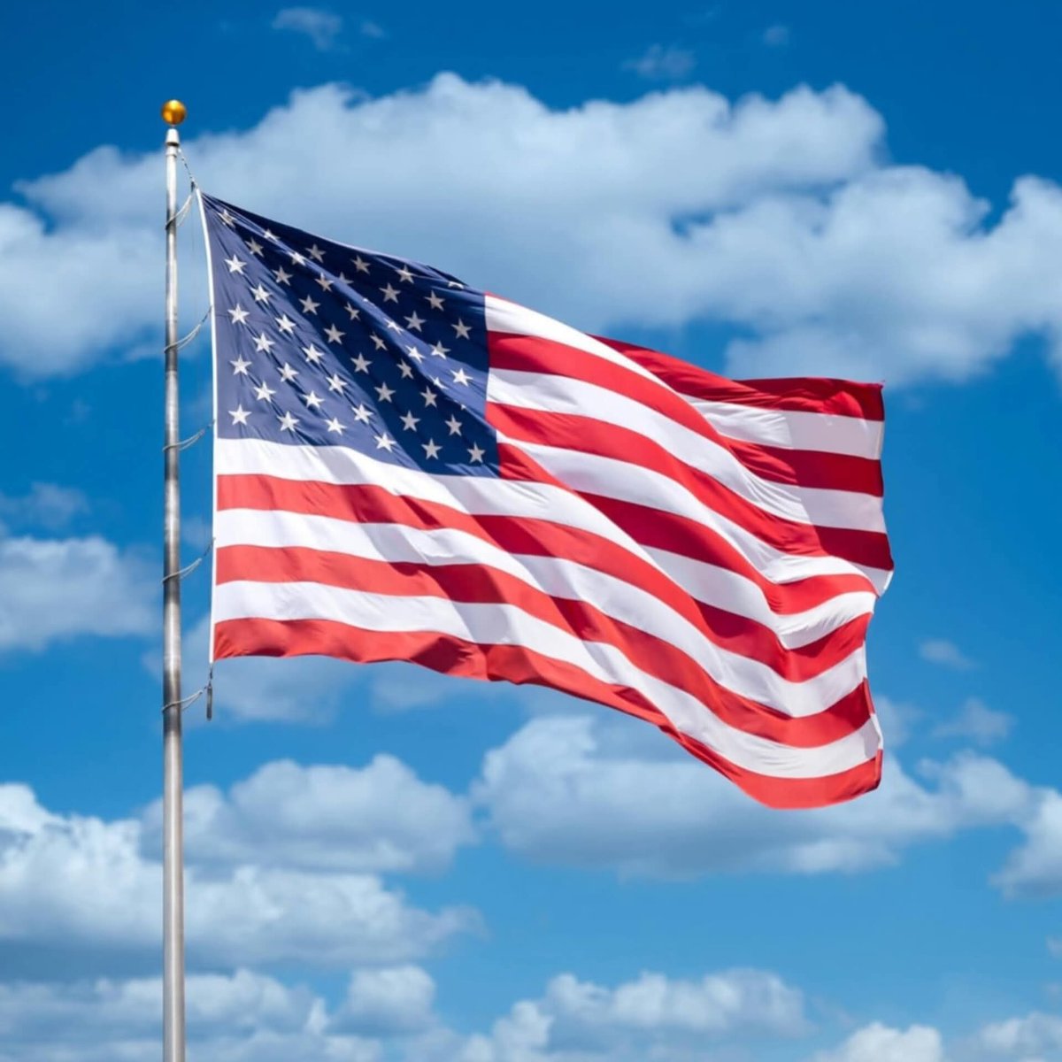 David J Harris Jr tweet media