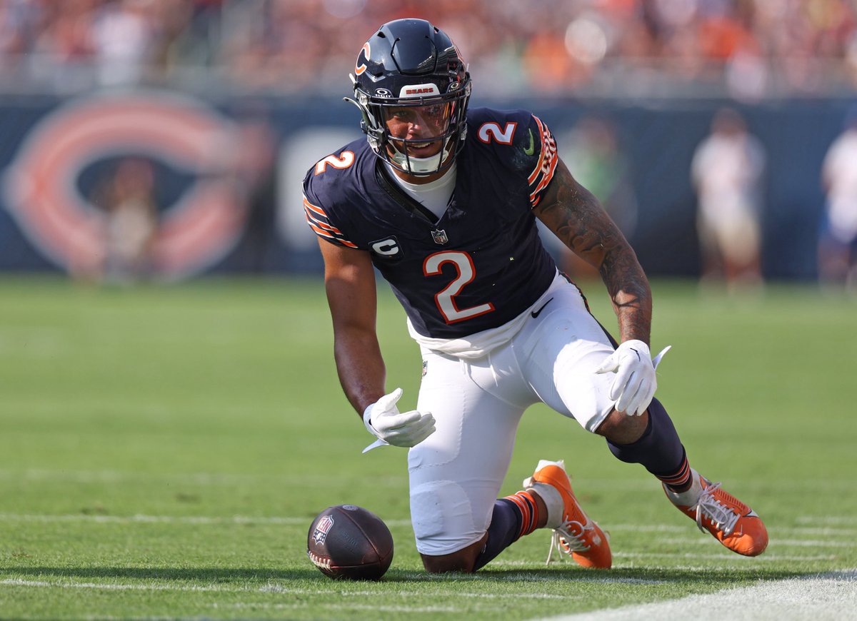 BearsMuse tweet media