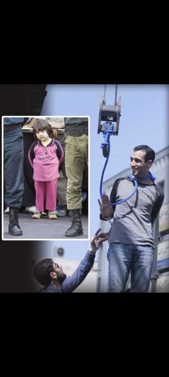 Zurdo hipócrita, progresista de cartón. Llevas vergüenza a tu país.