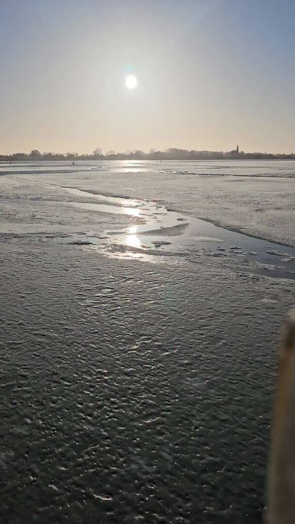 Hiddensee Forum tweet media