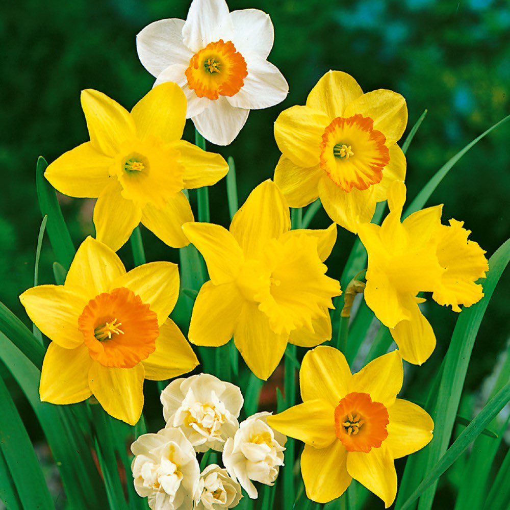 Jewry Wall Roman Museum tweet media