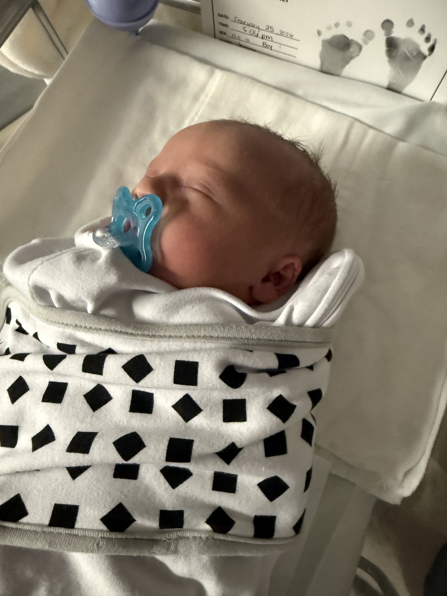 Steven Miller tweet media