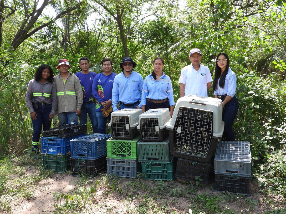 Corpocesar tweet media