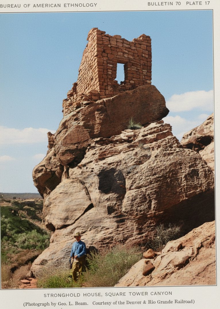 Gregory L Little, Ed.D. tweet media