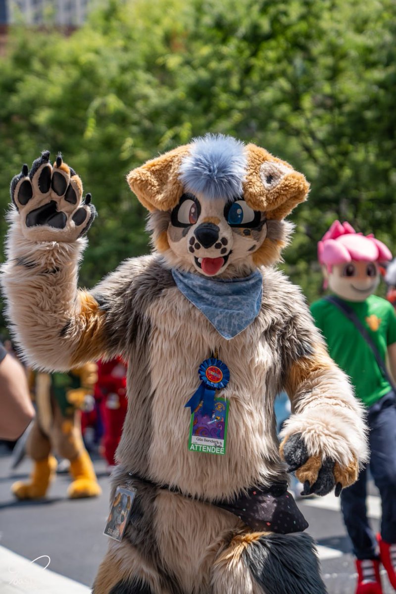 Gila Bender/Sierra Aussie tweet media