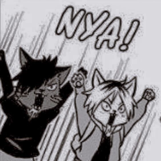 kuroken daily tweet media