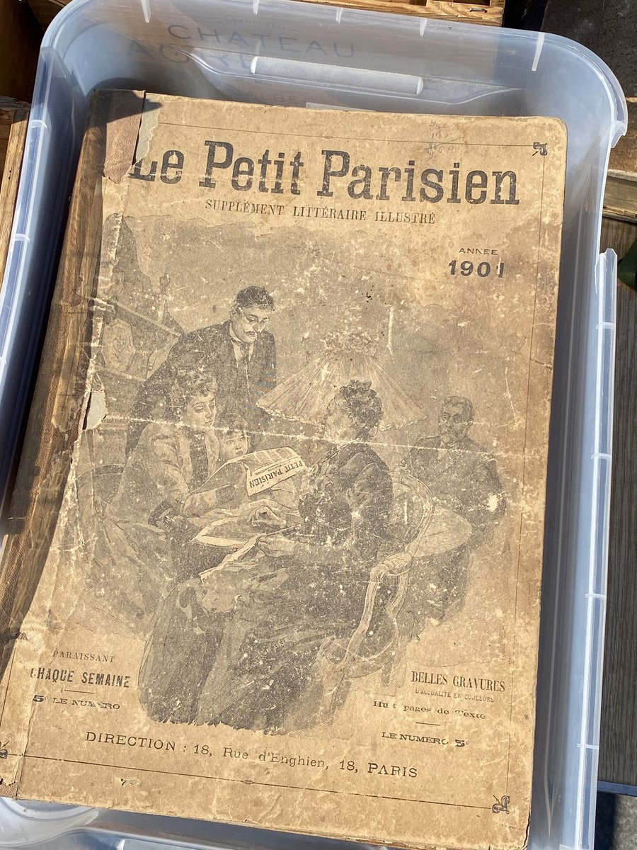 Medusa🐍🪞 tweet media