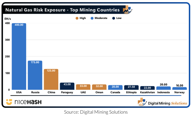 Digital Mining Solutions tweet media