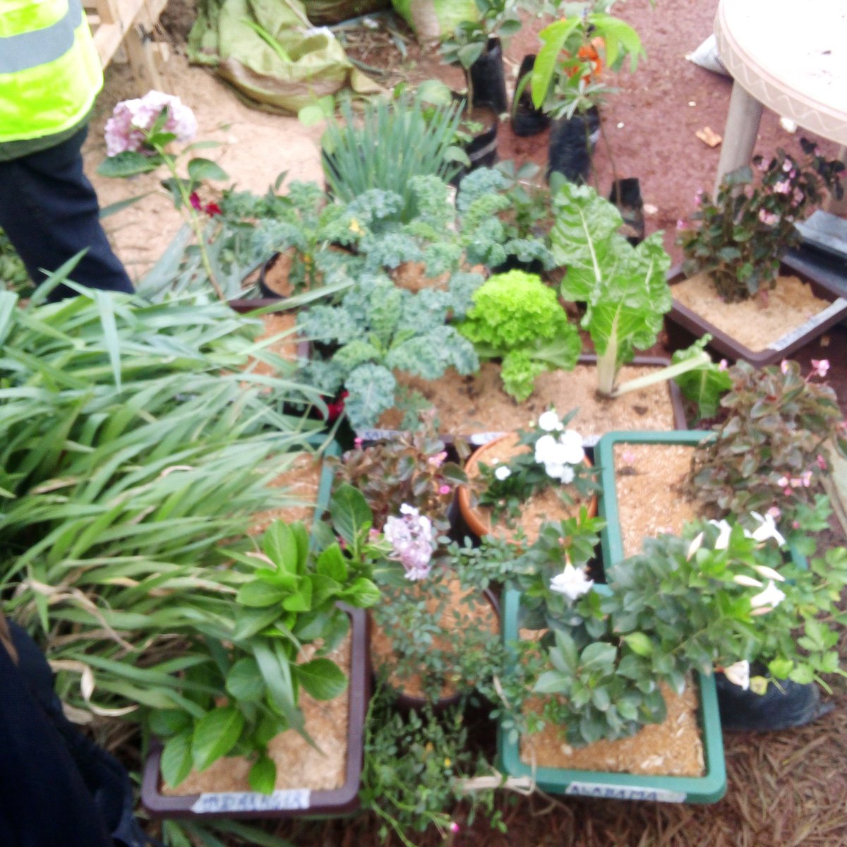 Opio Christopher tweet media