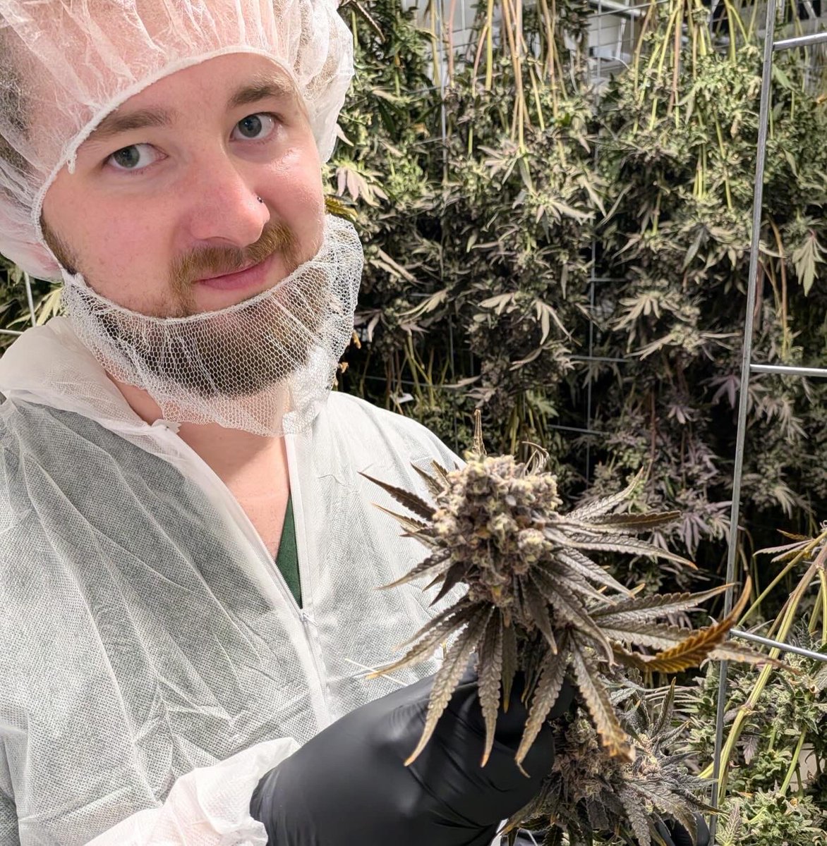 Matt Grad tweet media