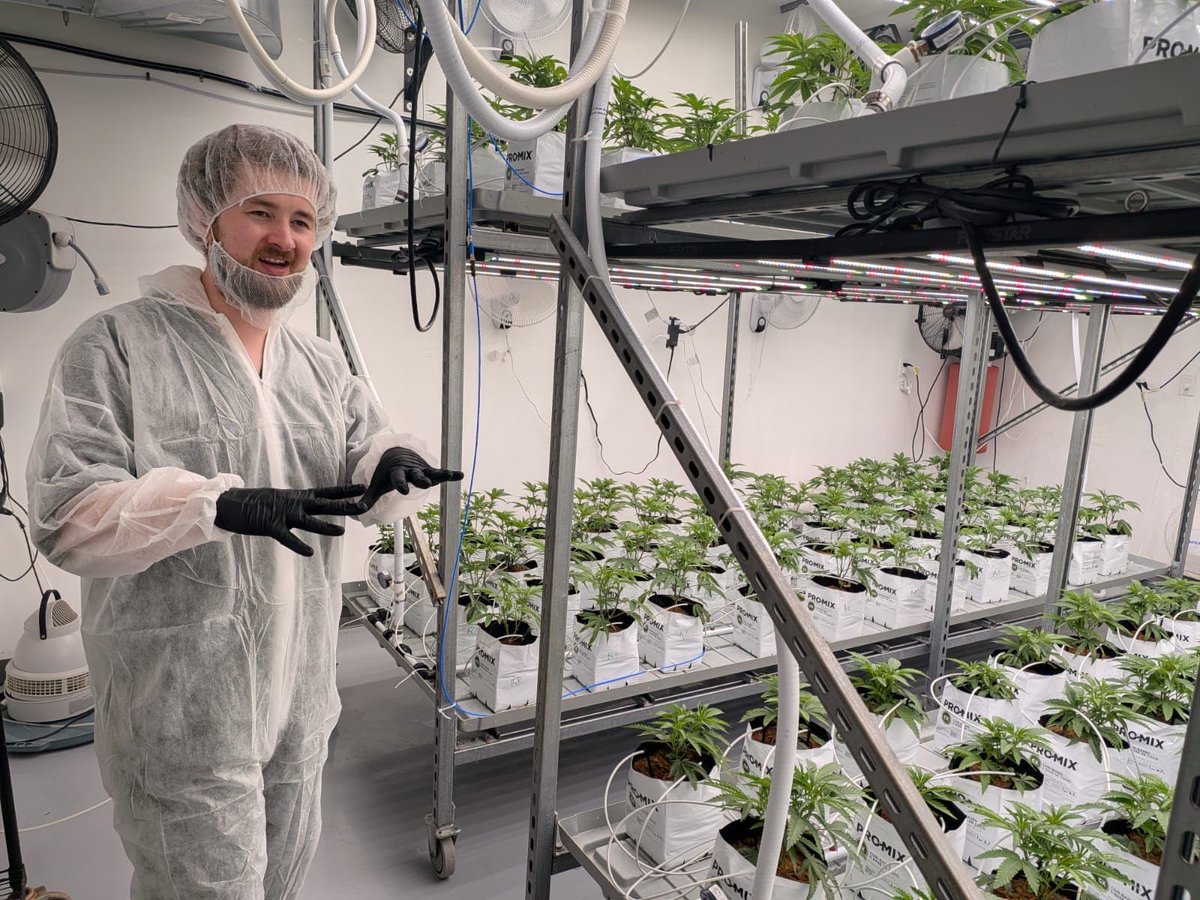 Matt Grad tweet media