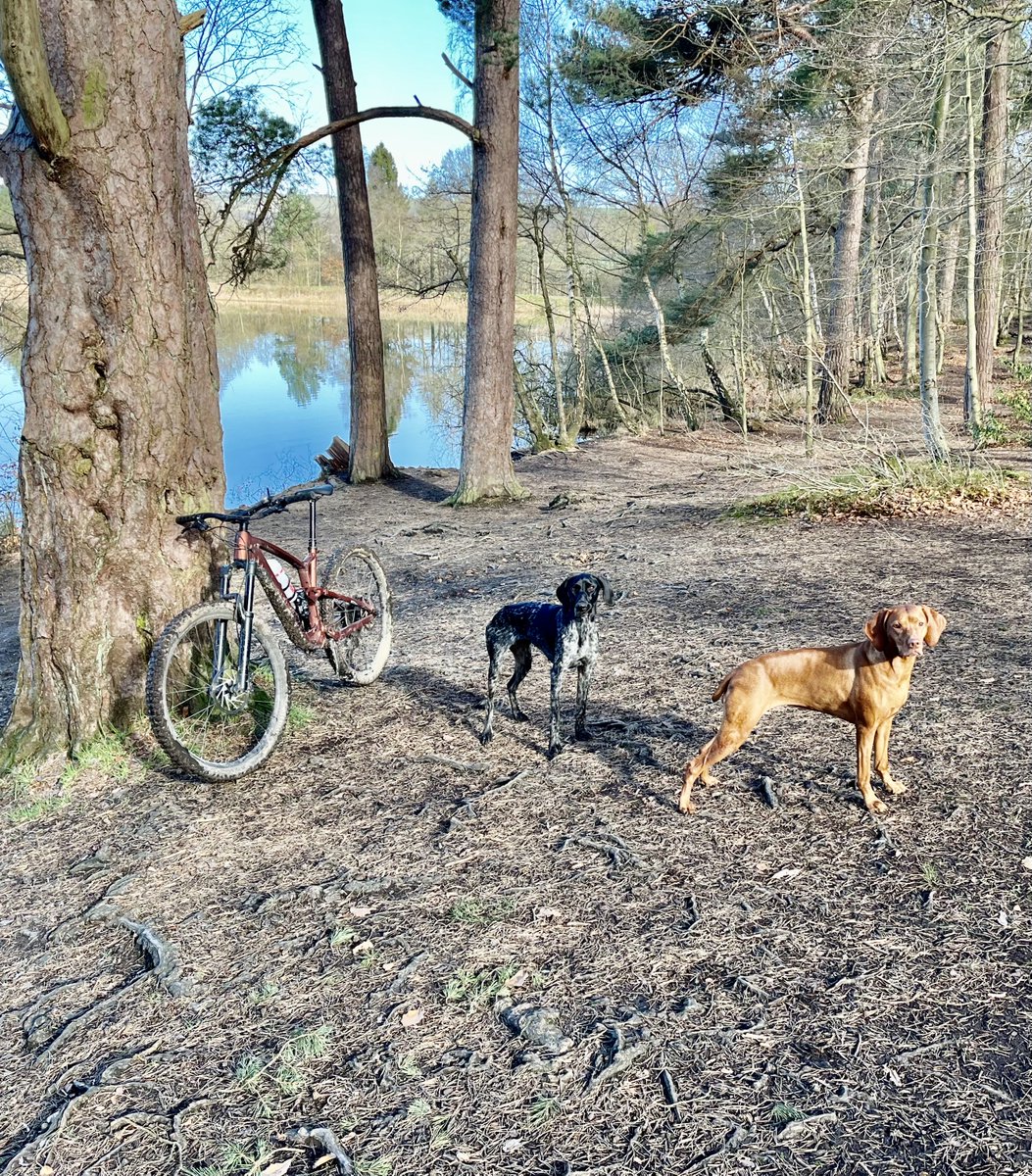 matt YCFC tweet media