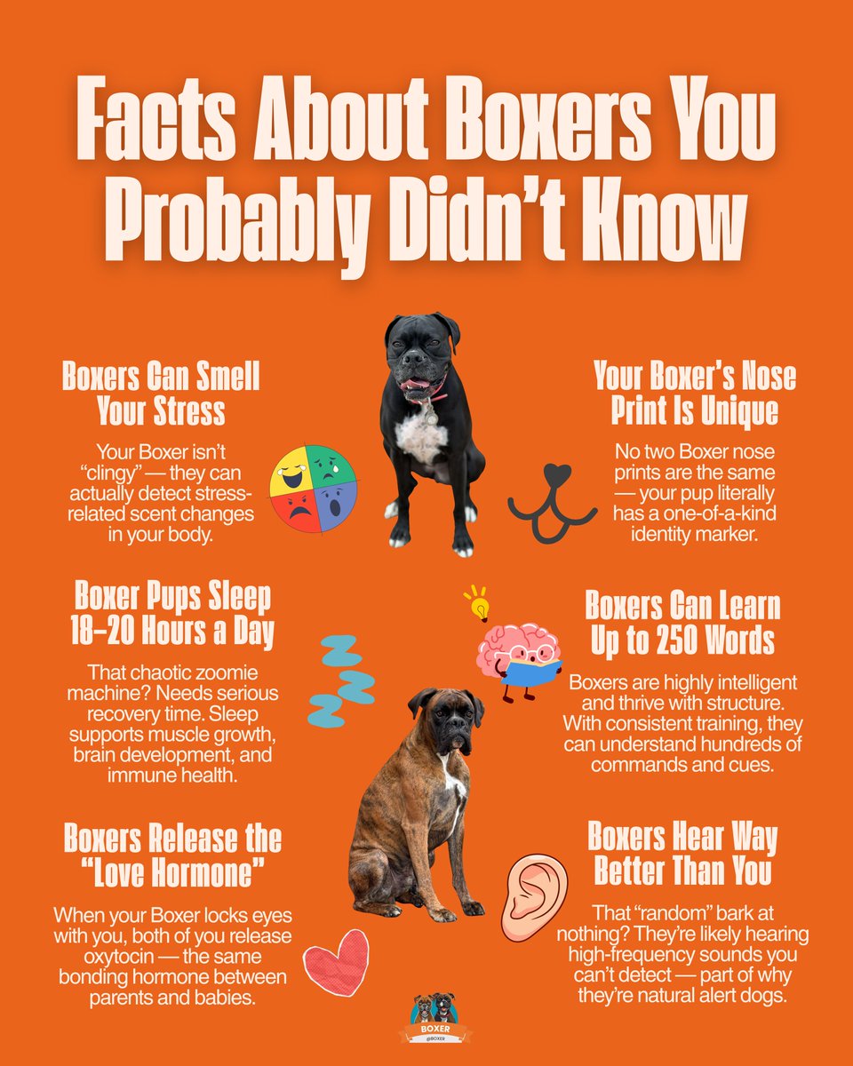 Lillie and Cain traveling the world tweet media