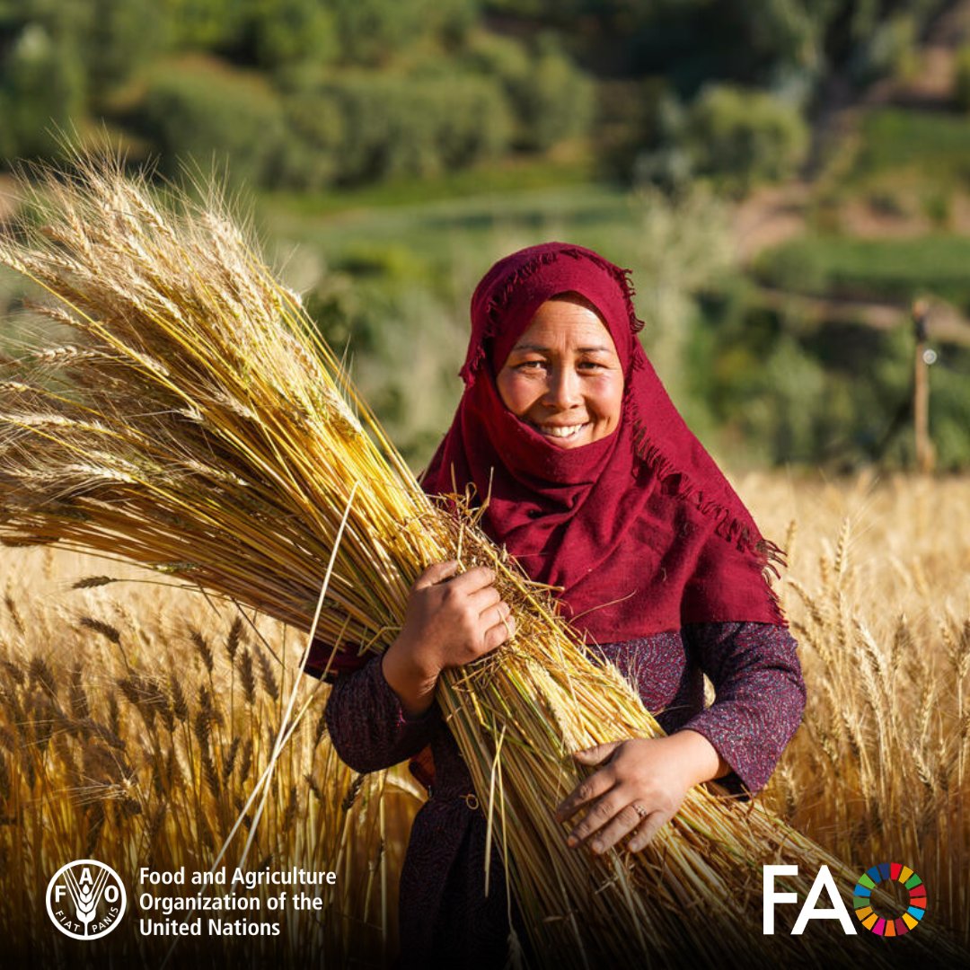 FAO AIMS tweet media