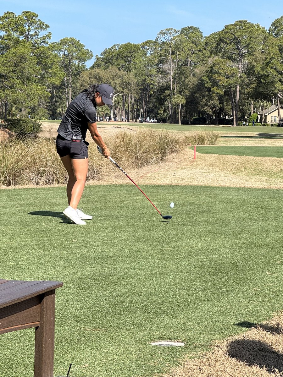 gamecock_doc's tweet image. Beautiful weather today at #DRI @KBDugan tried to get a few action shots of our @GamecockWGolf