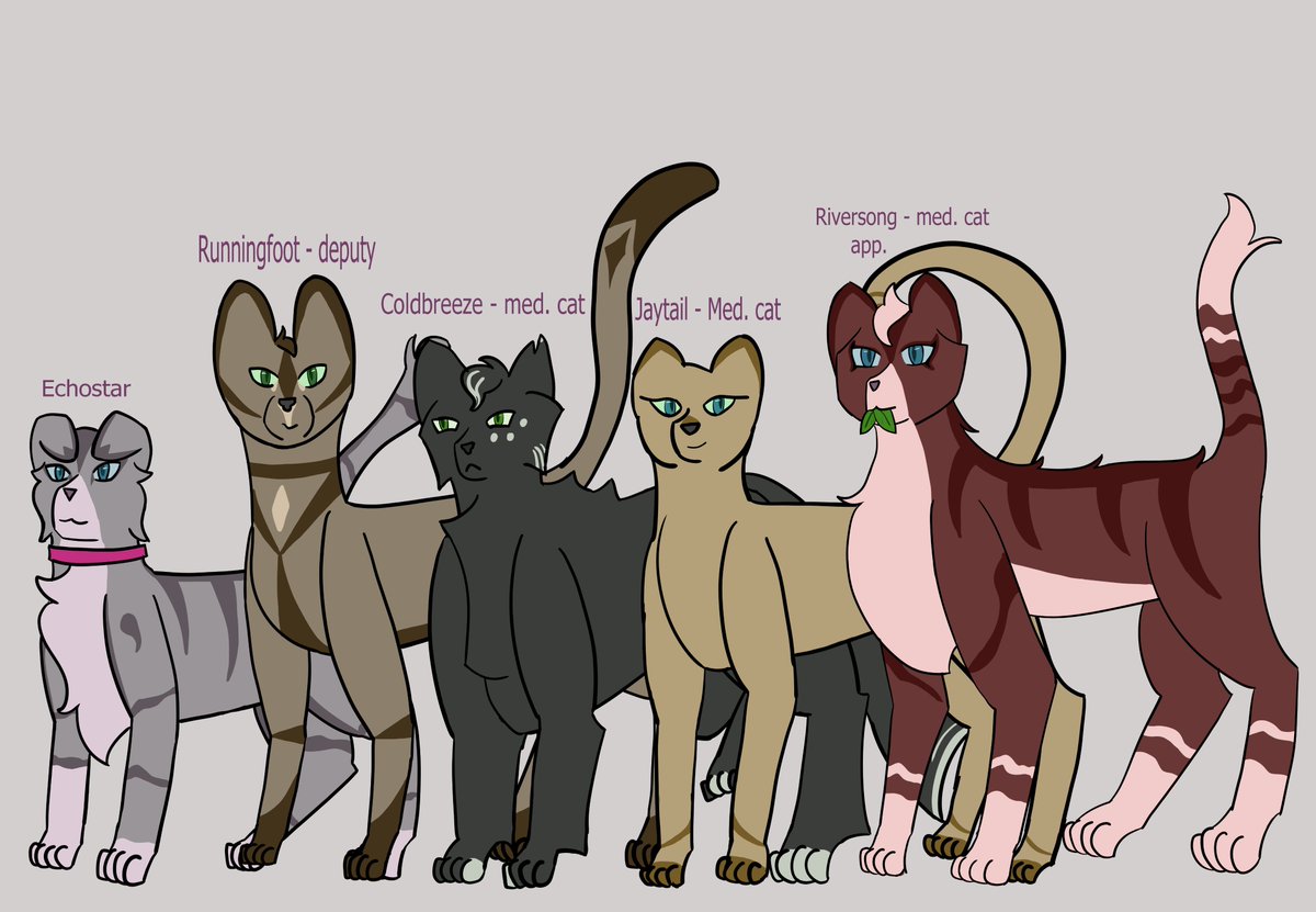 wolfbane_tales's tweet photo. Just finished some references for the leads of an old Warrior Cats roleplay. These are the leading cats of DustClan, a clan based in the mountains. Gonna do Senior Warriors next.

#warriorcats #warriorcatsfanart #originalcharacter https://t.co/CKxDWe7NgY