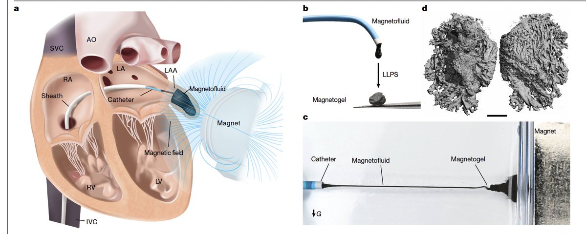 Eric Topol tweet media