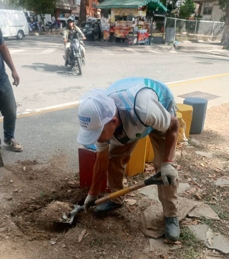 AlcaldiaBaruta's tweet photo. ¡Seguimos trabajando! 🍃
Las cuadrillas de #AcciónInmediata siguen llevando a cabo labores de:
🚧Empotrado de bolardos:
📍Urb. #LasMercedes
🍃Limpieza y desmalezado:
📍Urb. #ValleArriba
📍Urb. #PradosDelEste
🚧Restauración de columna:
📍Urb. #ValleArriba https://t.co/qt2NL1O8zo