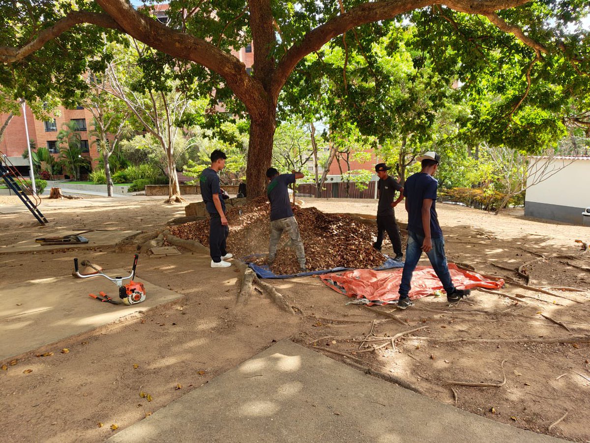 AlcaldiaBaruta's tweet photo. ¡Seguimos trabajando! 🍃
Las cuadrillas de #AcciónInmediata siguen llevando a cabo labores de:
🚧Empotrado de bolardos:
📍Urb. #LasMercedes
🍃Limpieza y desmalezado:
📍Urb. #ValleArriba
📍Urb. #PradosDelEste
🚧Restauración de columna:
📍Urb. #ValleArriba https://t.co/qt2NL1O8zo