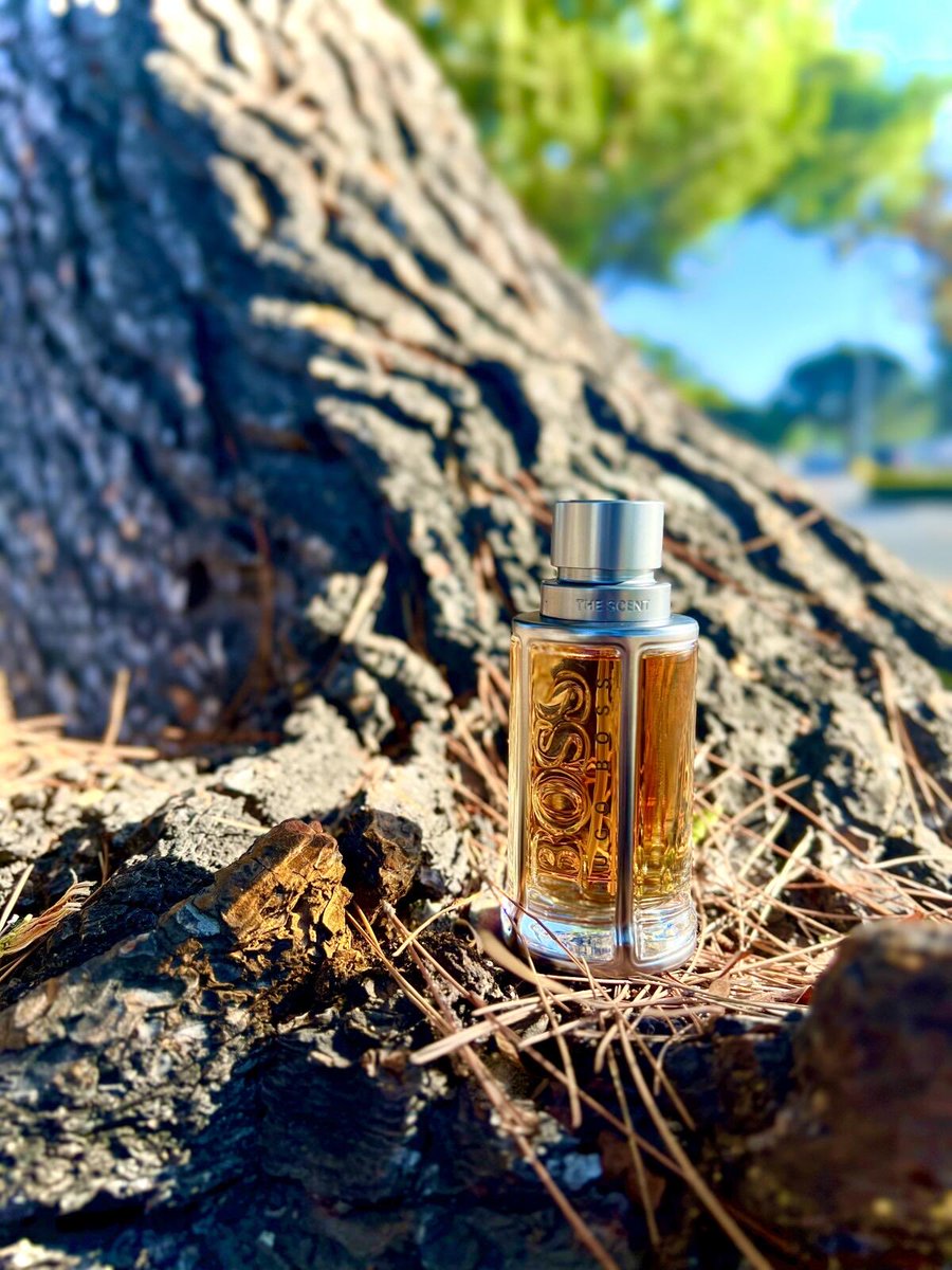 العز tweet media