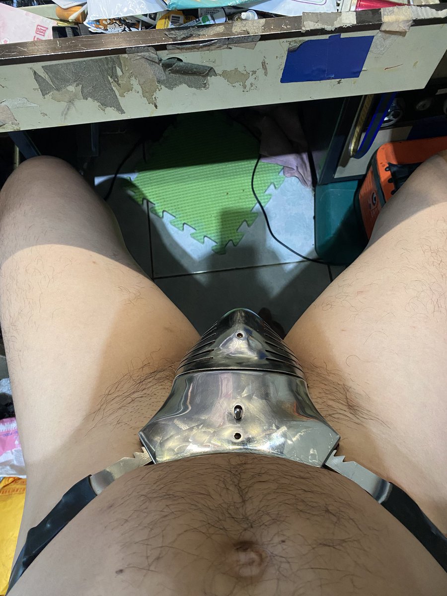 Tad Su(小富犬) tweet media