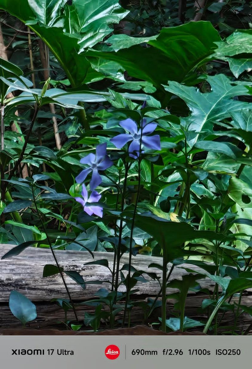 Abhinav Ranjan Jha tweet media