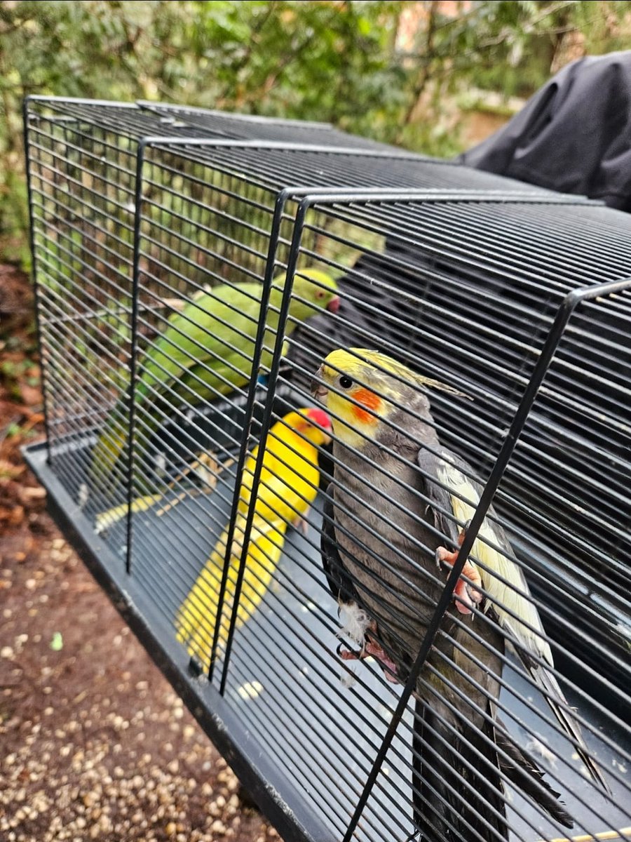 Gendarmerie nationale tweet media