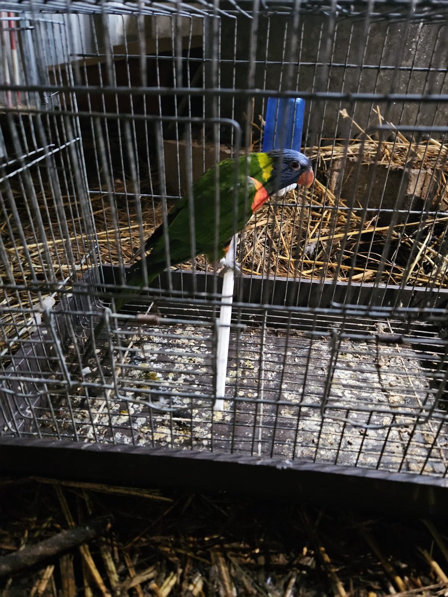 Gendarmerie nationale tweet media