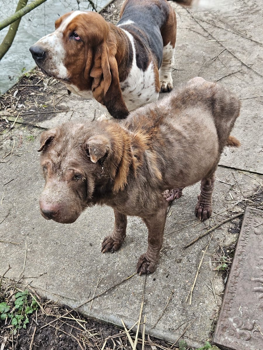 Gendarmerie nationale tweet media