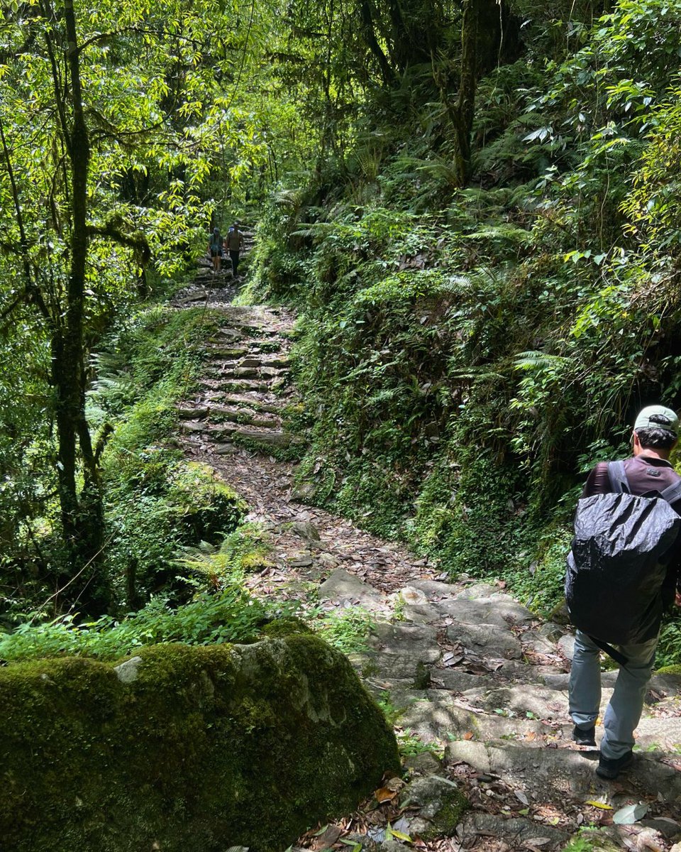 Work the World tweet media