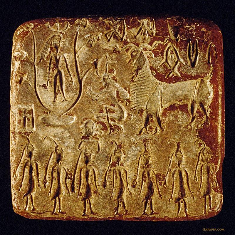 yajnadevam's tweet photo. The "tree of life" is Prosopis cineraria, worshipped by Hindus for millennia as a symbol of life because it has the ability to survive centuries of drought. https://t.co/BLwiK0x0eN