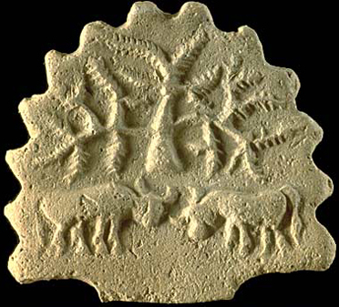 yajnadevam's tweet photo. The "tree of life" is Prosopis cineraria, worshipped by Hindus for millennia as a symbol of life because it has the ability to survive centuries of drought. https://t.co/BLwiK0x0eN
