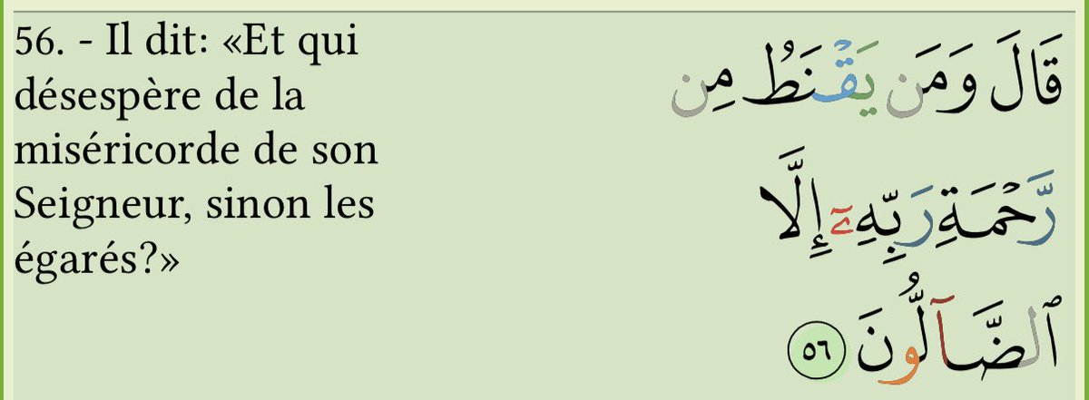 🇪🇬م tweet media